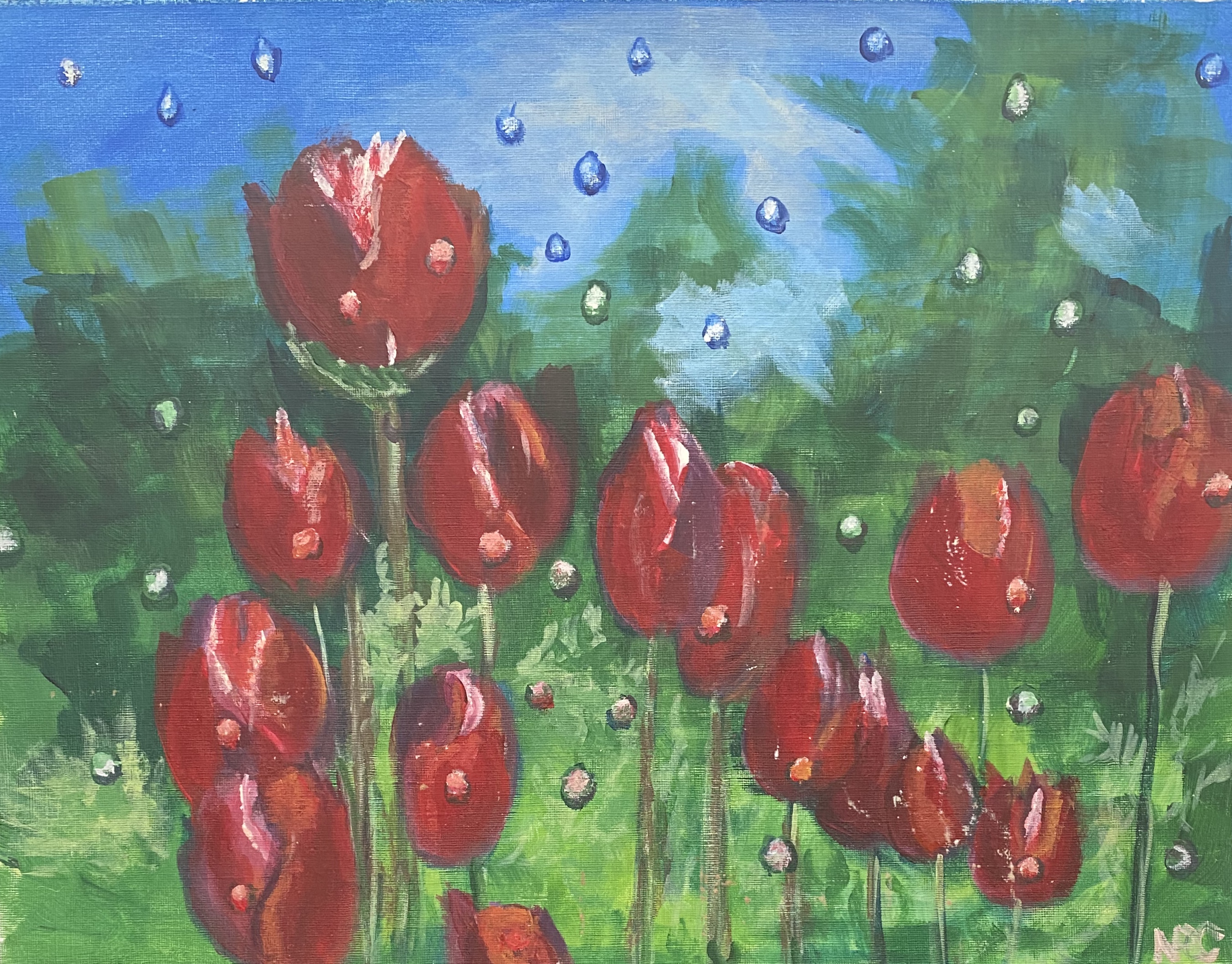 Red Tulips in a Field